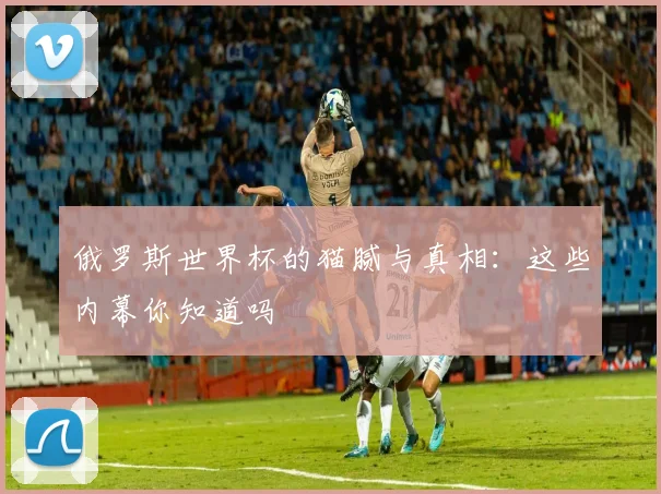 俄罗斯世界杯的猫腻与真相：这些内幕你知道吗