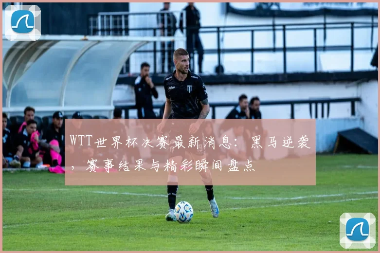 WTT世界杯决赛最新消息：黑马逆袭，赛事结果与精彩瞬间盘点