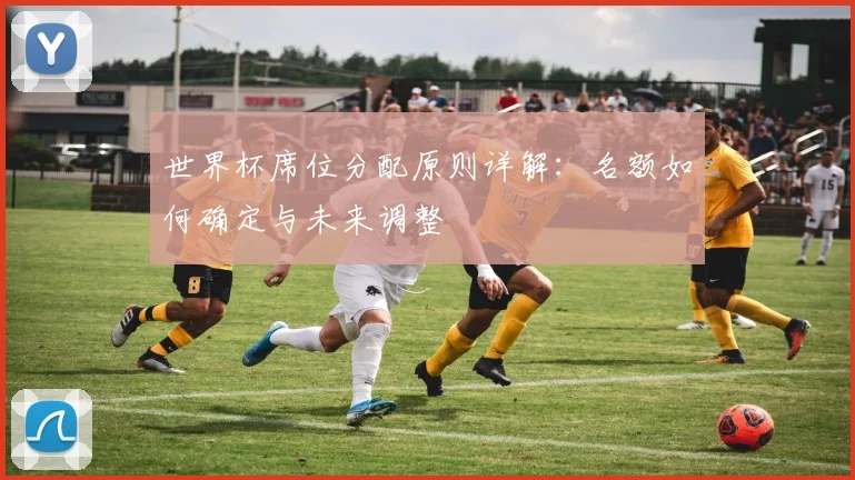 世界杯席位分配原则详解：名额如何确定与未来调整