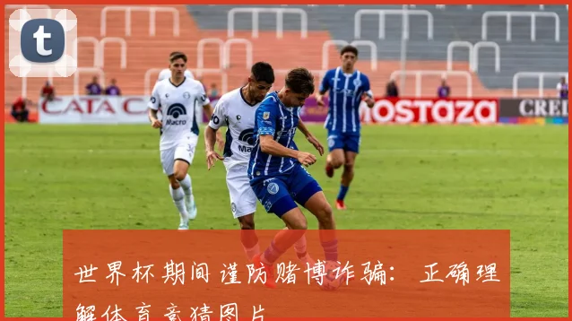世界杯期间谨防赌博诈骗：正确理解体育竞猜图片