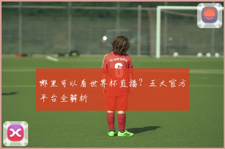 哪里可以看世界杯直播？五大官方平台全解析