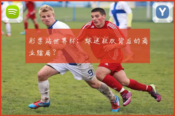 彩票站世界杯：球迷狂欢背后的商业赌局？