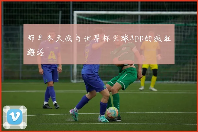 那年冬天我与世界杯买球App的疯狂邂逅