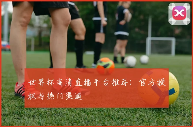 世界杯高清直播平台推荐：官方授权与热门渠道