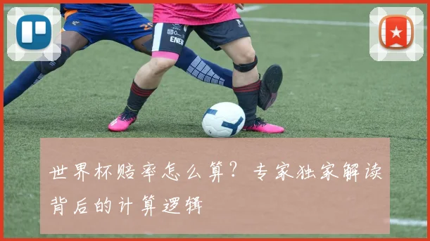 世界杯赔率怎么算？专家独家解读背后的计算逻辑