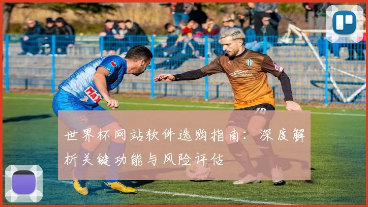 世界杯网站软件选购指南：深度解析关键功能与风险评估