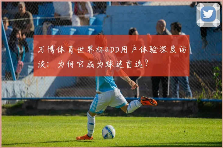 万博体育世界杯app用户体验深度访谈：为何它成为球迷首选？