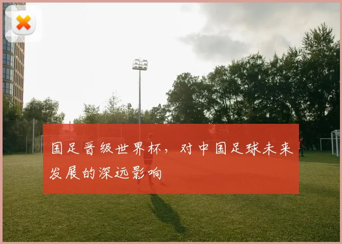 国足晋级世界杯，对中国足球未来发展的深远影响