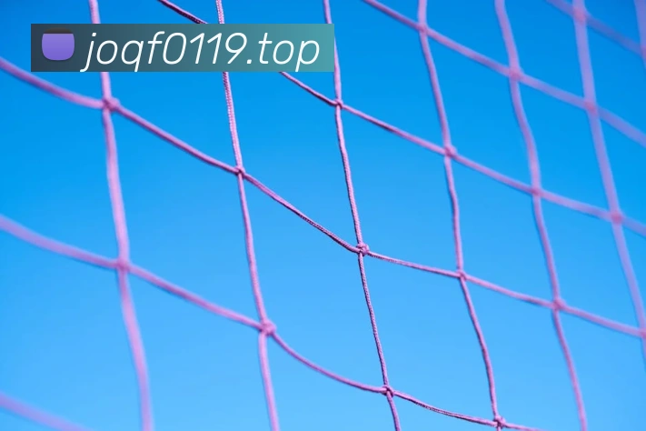 开云在线登录入口官网APP 体育赛事宣传图